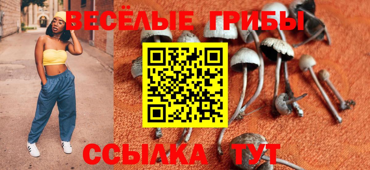 Галлюциногенные грибы MAGIC MUSHROOMS  Псилоцибиновые грибы Psilocybe  Рязань  Вход с VPN 
